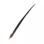 �����ϥ�