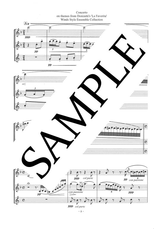 パスクッリ / 中木明日香(編曲)：ドニゼッティの歌劇「ラ