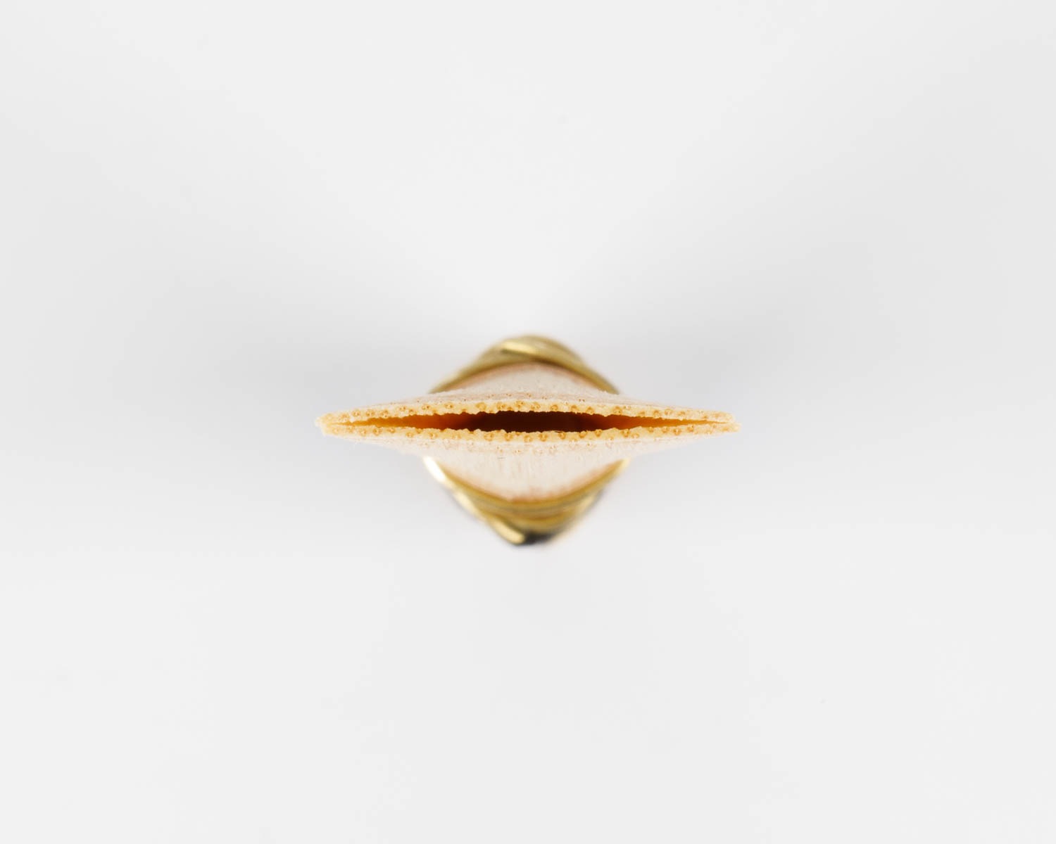 FG꡼ɳĴѥȥޥɥ Υ꡼󥹥åա