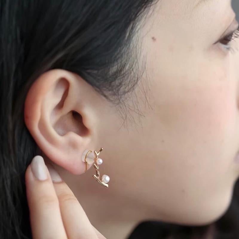 �Ρ��֥�ʼ��ĥΥԥ���/������