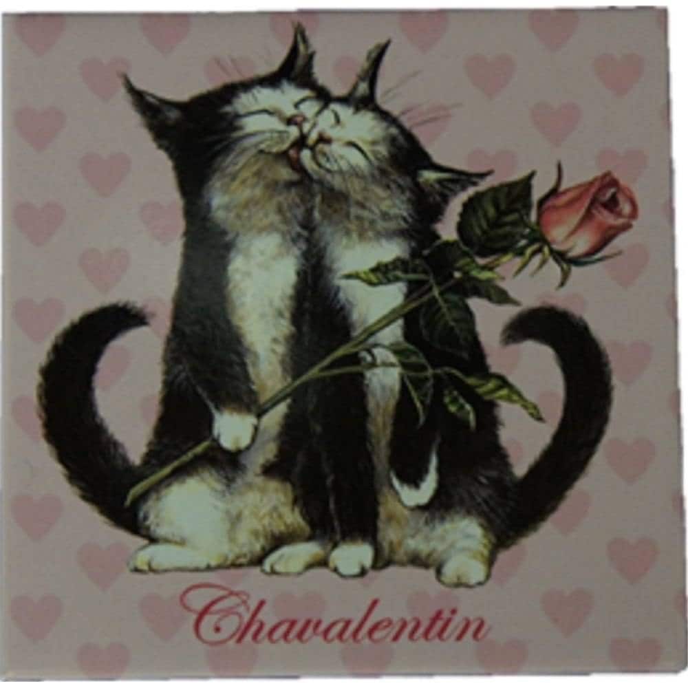 フランス製 キャット マグネット