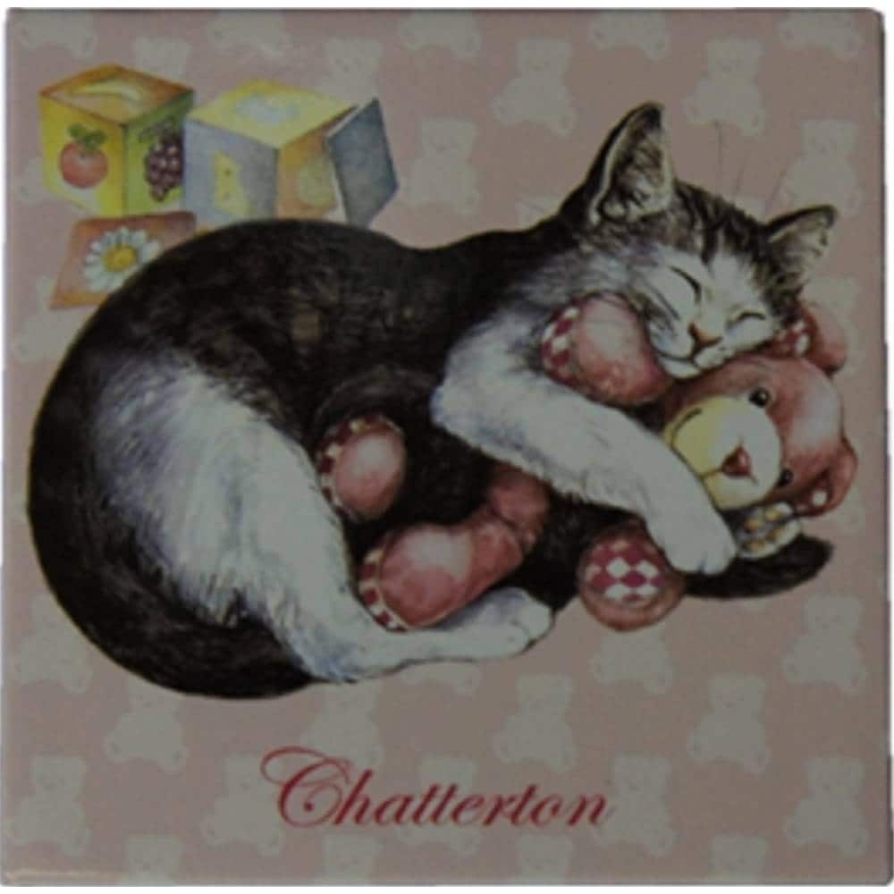 フランス製 キャット マグネット