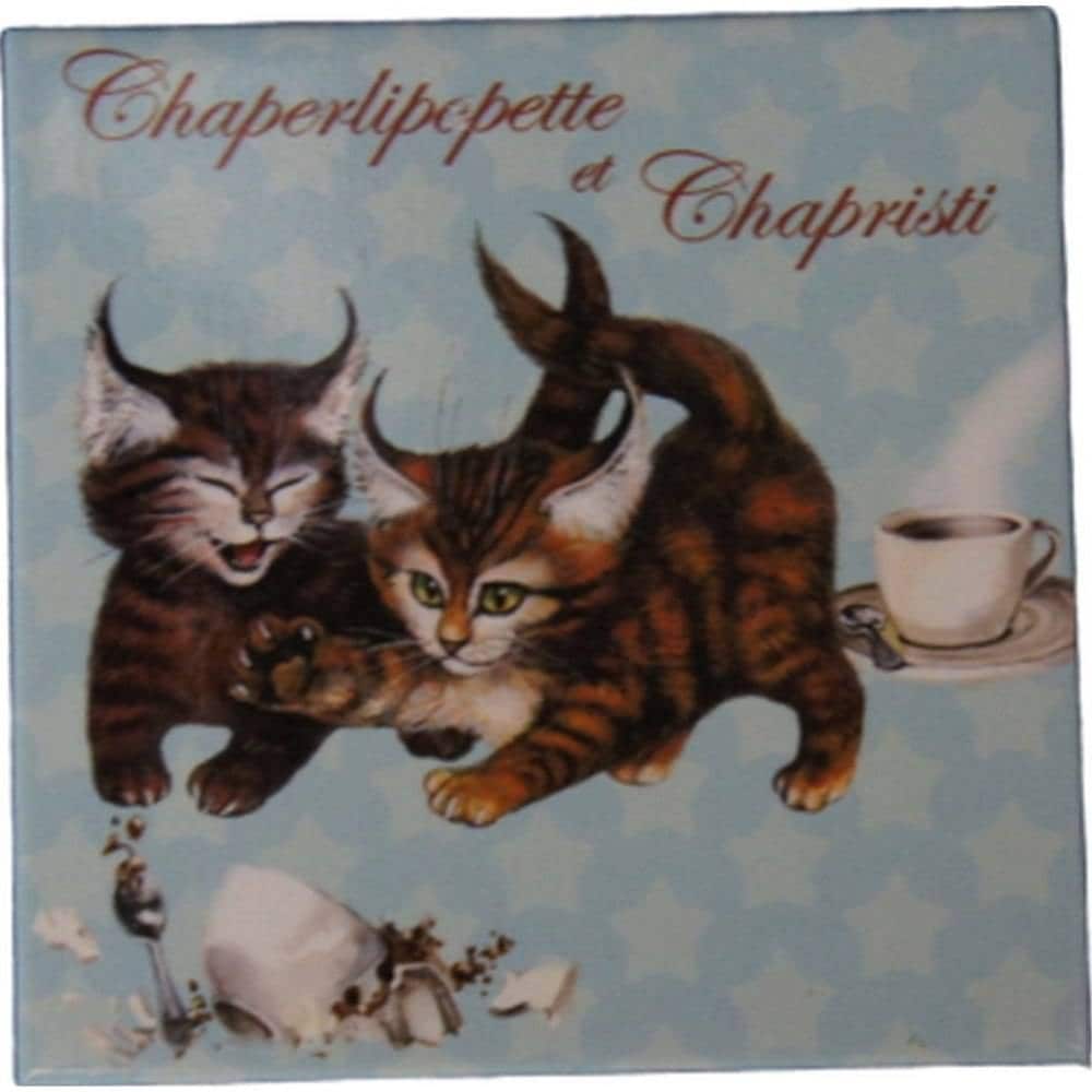 フランス製 キャット マグネット