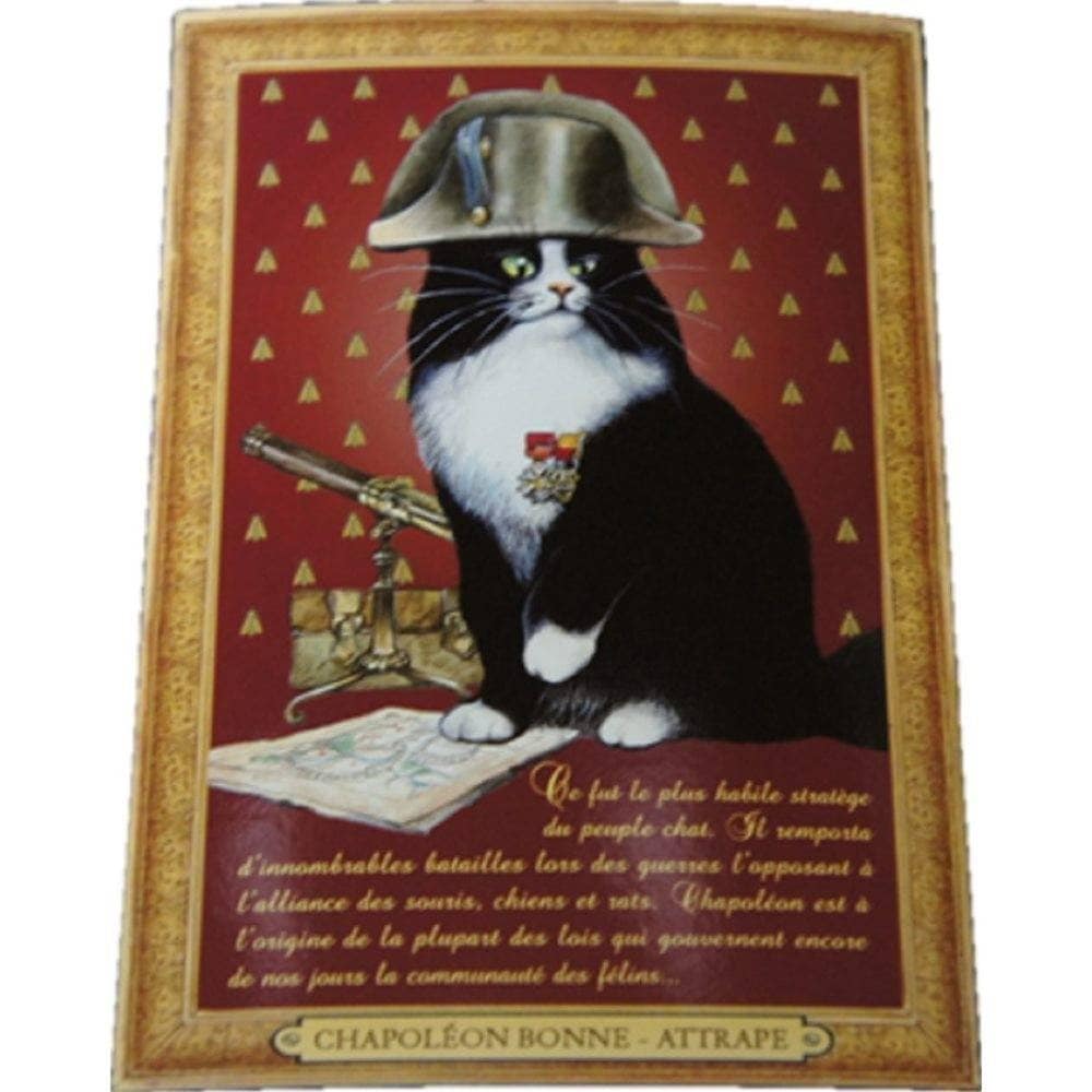 セブリーヌキャット フランス製 キャット ポストカード