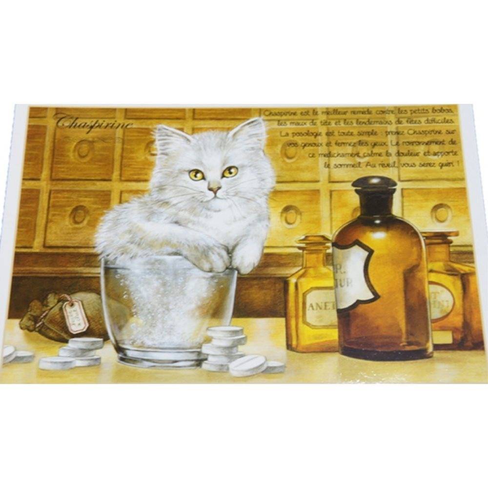 セブリーヌキャット フランス製 キャット ポストカード