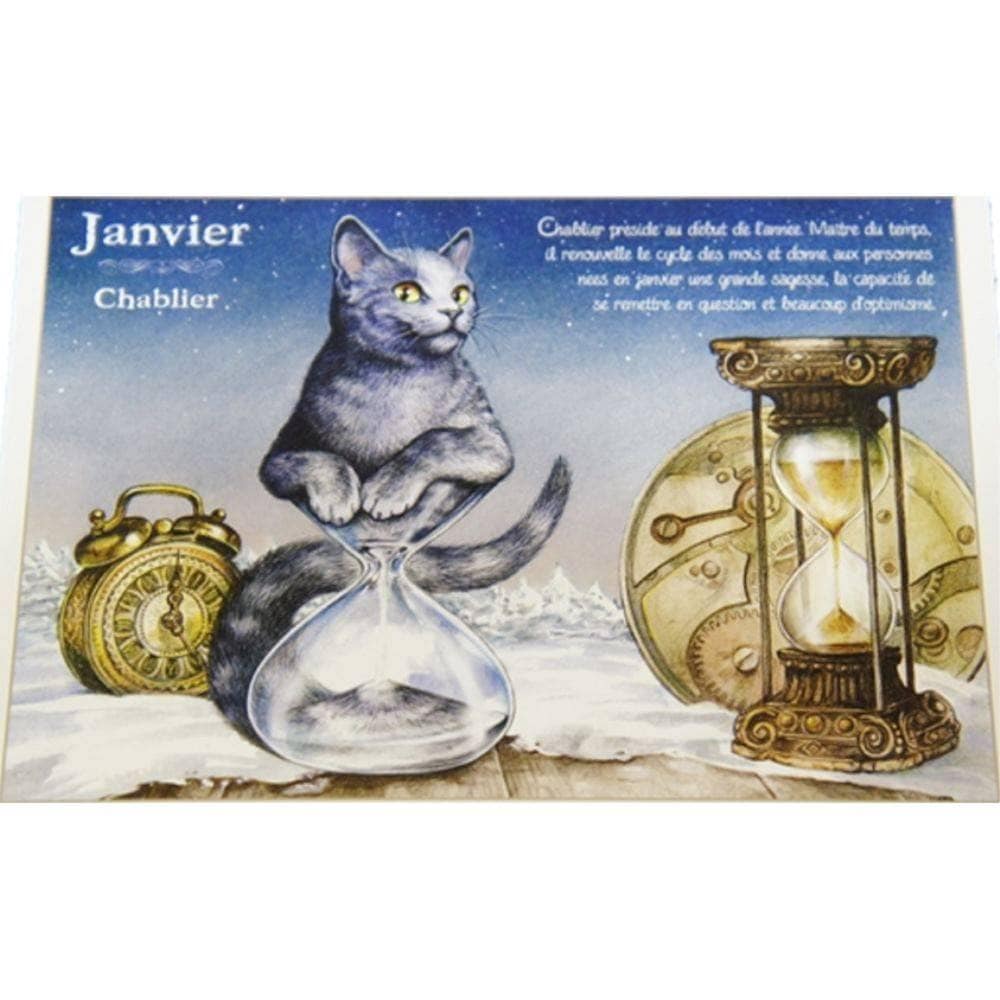セブリーヌキャット フランス製 キャット ポストカード