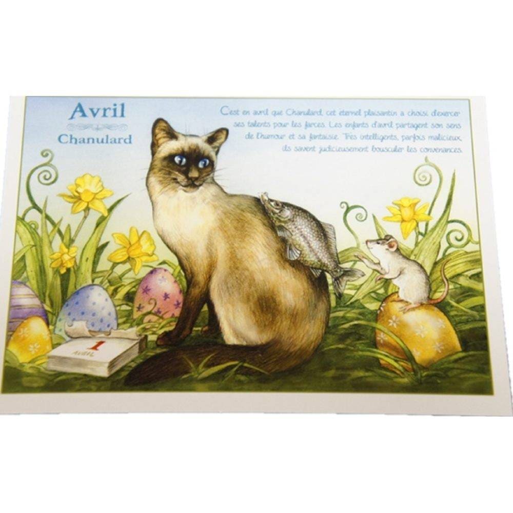 セブリーヌキャット フランス製 キャット ポストカード