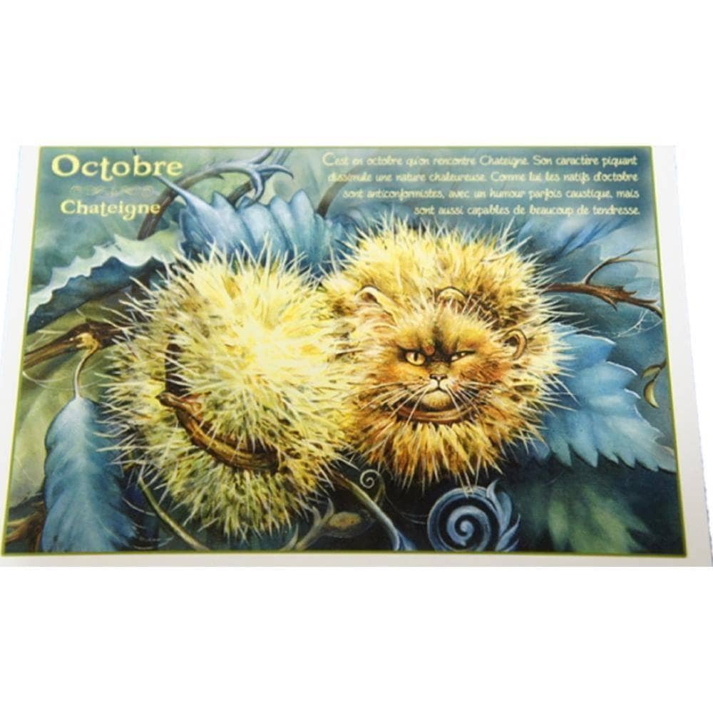 セブリーヌキャット フランス製 キャット ポストカード