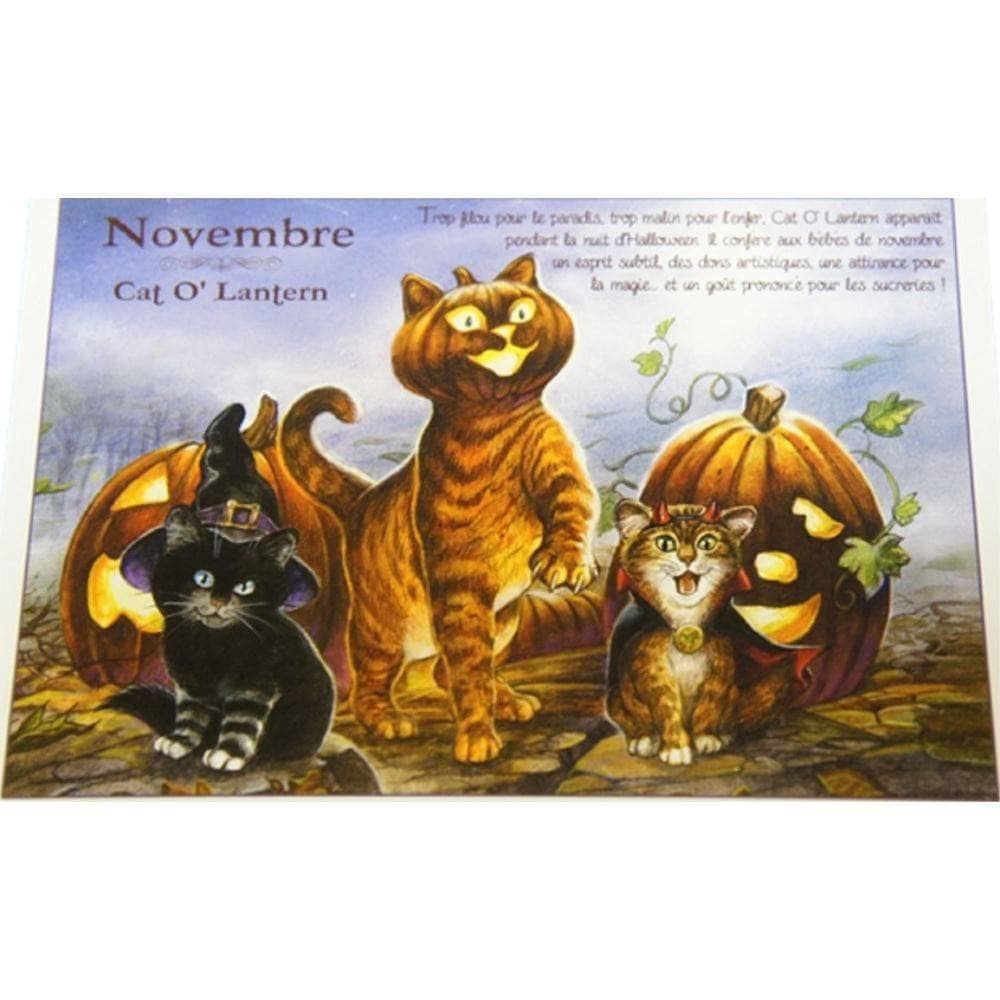 セブリーヌキャット フランス製 キャット ポストカード