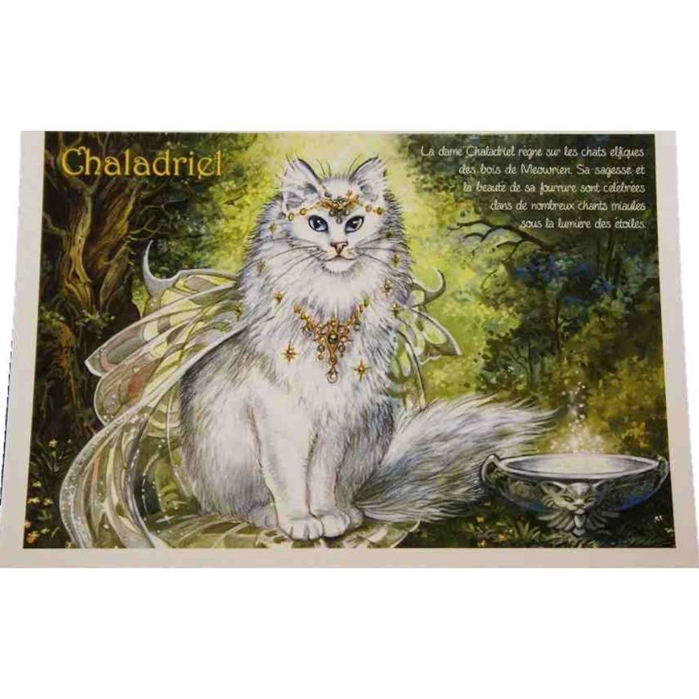 セブリーヌキャット フランス製 キャット ポストカード
