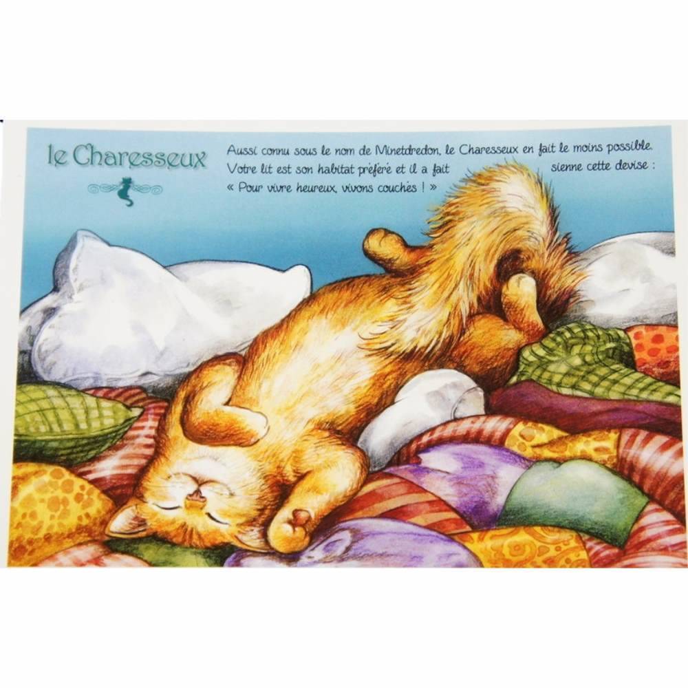 セブリーヌキャット フランス製 キャット ポストカード