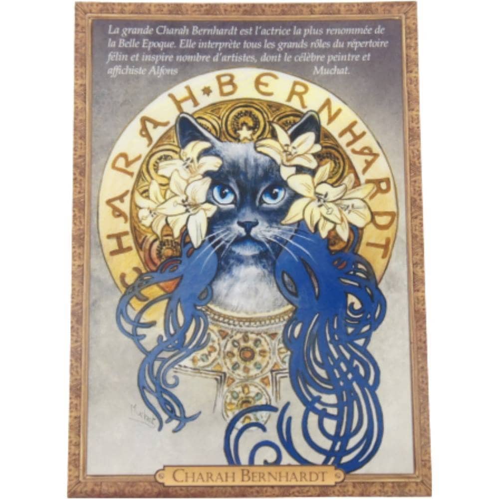 セブリーヌキャット フランス製キャットポストカード