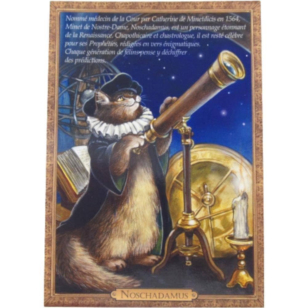 セブリーヌキャット フランス製キャットポストカード