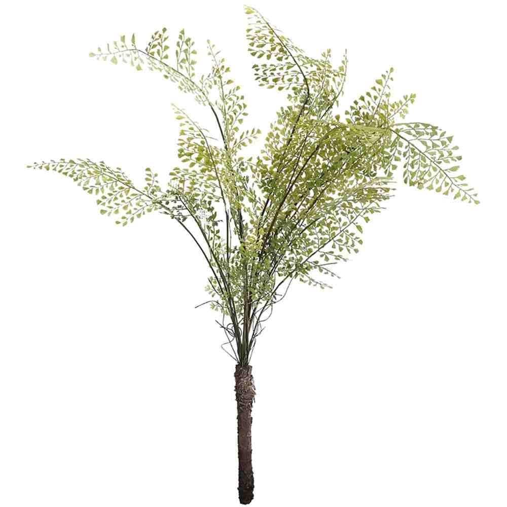 モダン アートグリーン シダ