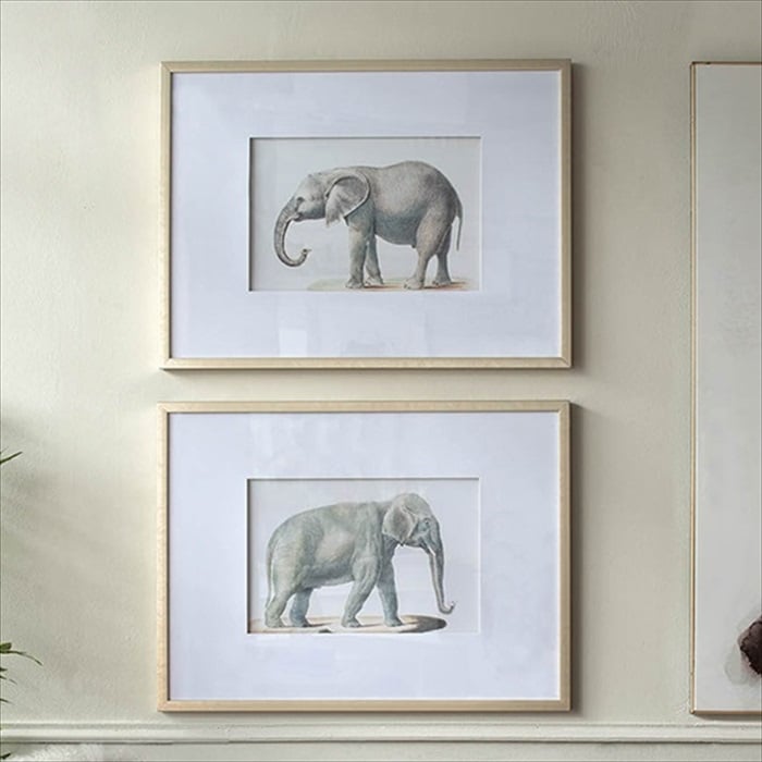 クラシックモダン 額絵 ゾウ 象 エレファント 2枚セット