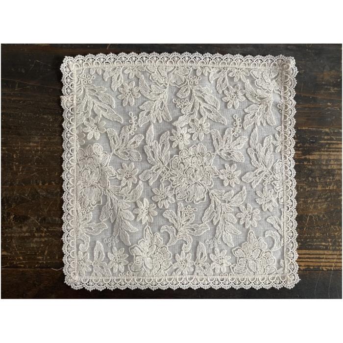 botany race ドイリー