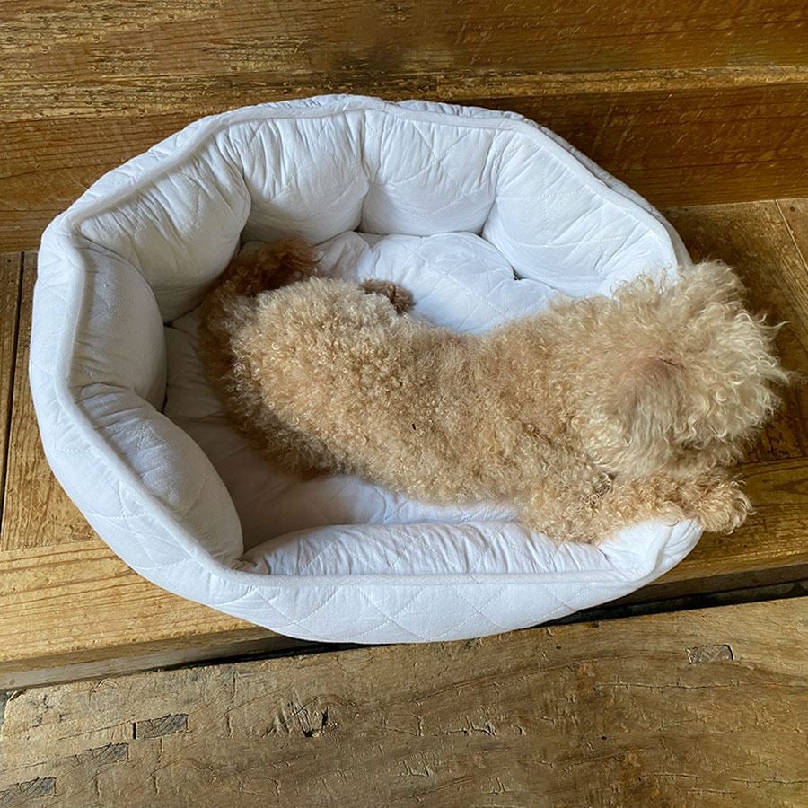 white quilt ペットベッド 55×45cm