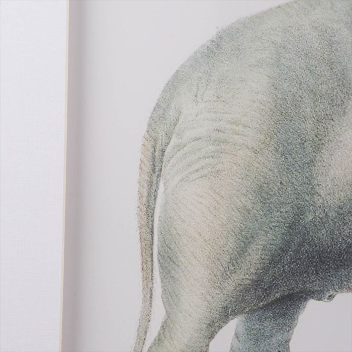 クラシックモダン 額絵 ゾウ 象 エレファント 2枚セット