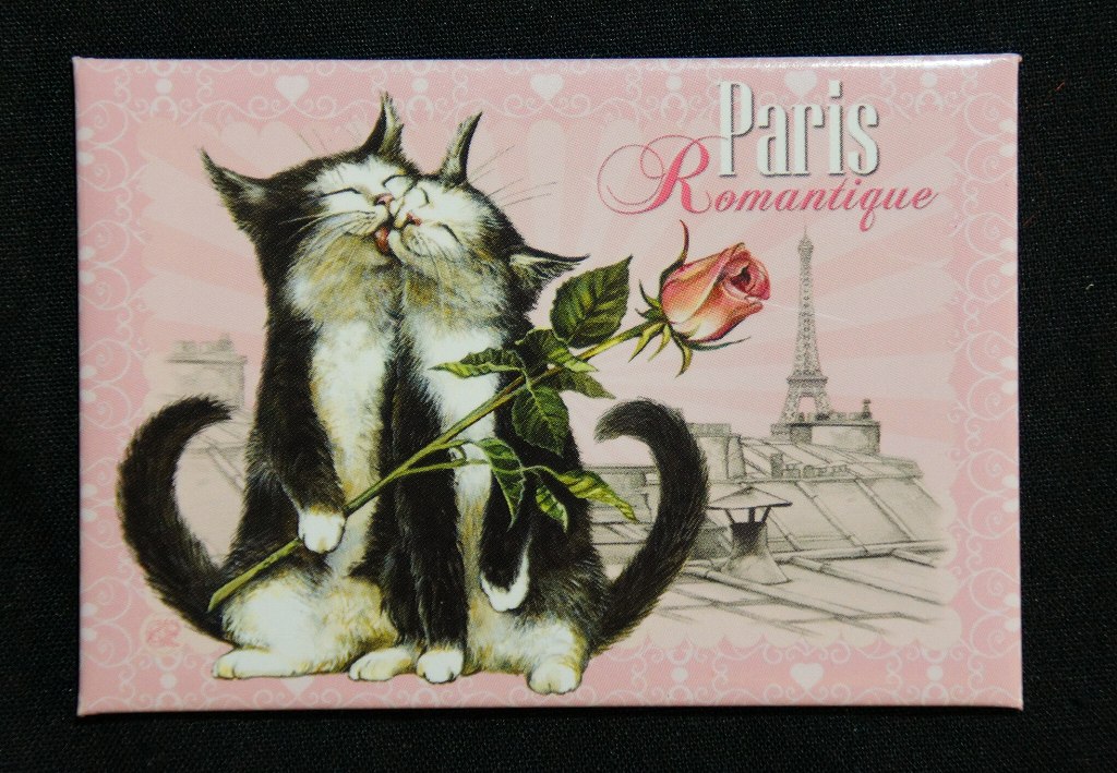 フランス製 キャット マグネット