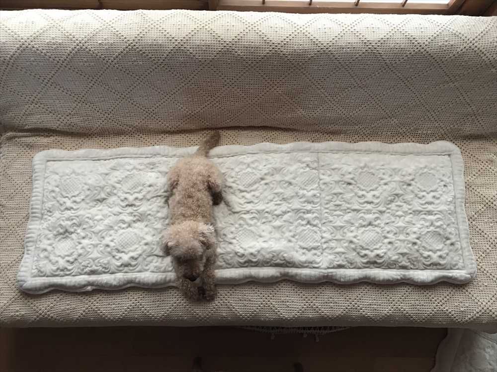 Classic Flannel ロングシート ソファーシート 車シート 48x150cm ファブリック雑貨 クッション 輸入雑貨 インテリア Vivienne ヴィヴィアン