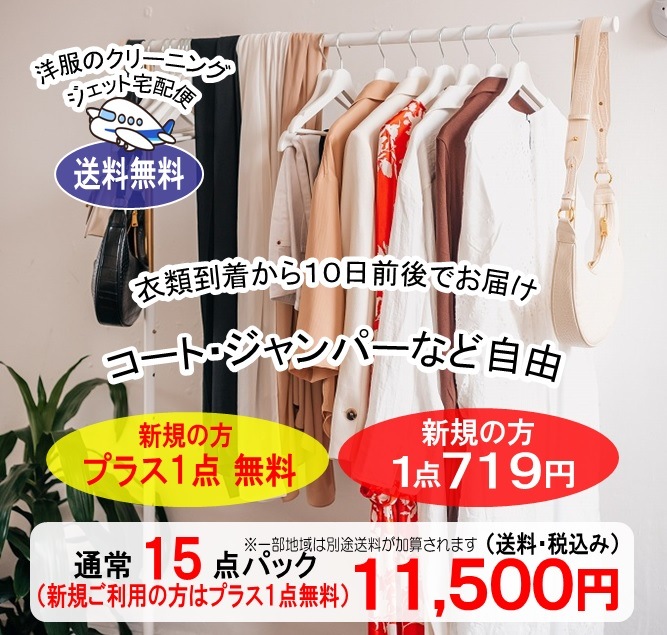 �� ���ۥ��꡼�˥󥰡��̾�ѥå� 15���ޤǵͤ�����