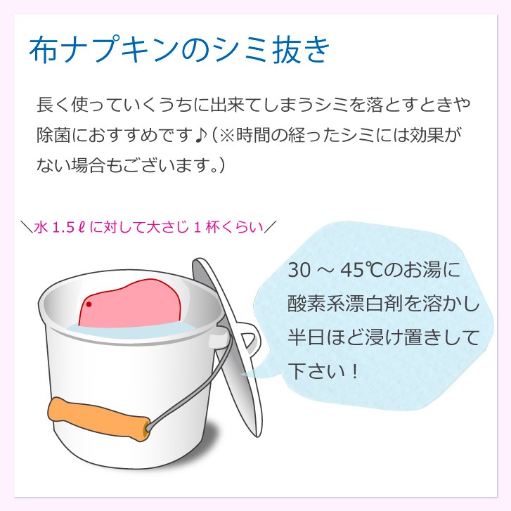 地の塩社 酸素系漂白剤［ 50g 1個/過炭酸ナトリウム100%］布ナプキン用洗剤 お試しサイズ  6個までメール便発送可能