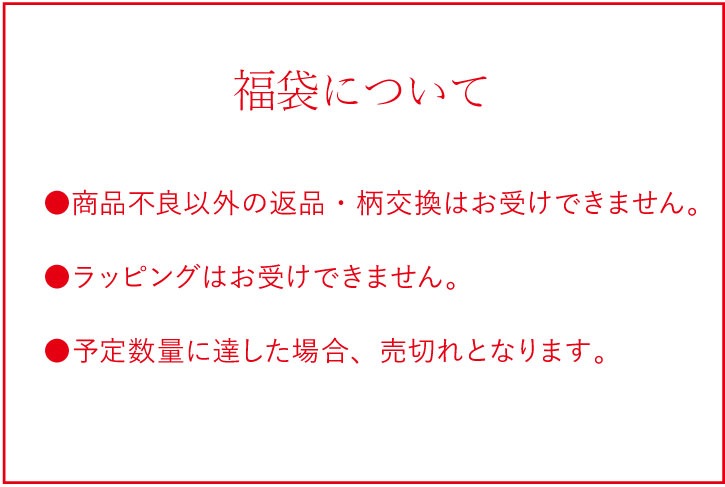 【8/1(土)12時スタート】2026 福袋 布ナプキン［19周年記念 使い捨て布ナプキン フリーナ セット 日本製 ] 