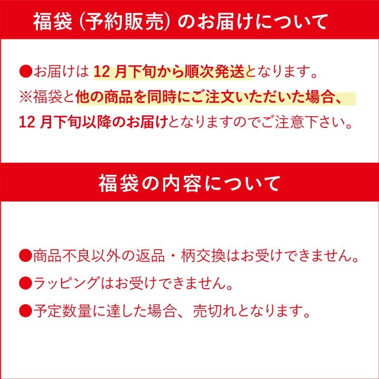 【予約受付中※12月下旬順次発送予定】2026ジュランジェ 新春福袋 [ 使い捨て布ナプキンセット 宅配便送料無料 ]日本製