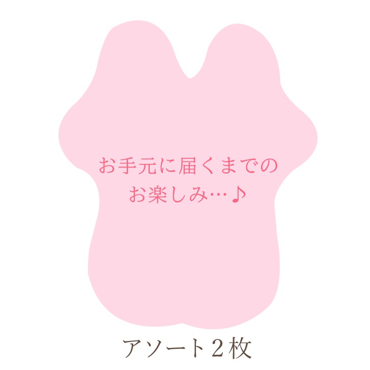 布ナプキン 一体型 Lサイズ 2枚セット 生成り [ 防水布入り布ナプキン/夜用 / 33cm ] 多い日 ネル生地/消臭タグ付き (日本製)メール便送料無料