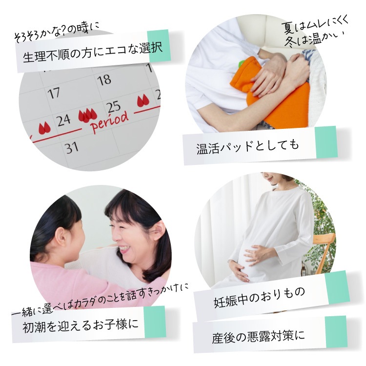 布ナプキン お試し一体型 Mサイズ 生成り 3枚セット [ 防水布入り布ナプキン/昼用 / 24.5cm ] 普通の日 ネル生地 (日本製)メール便送料無料