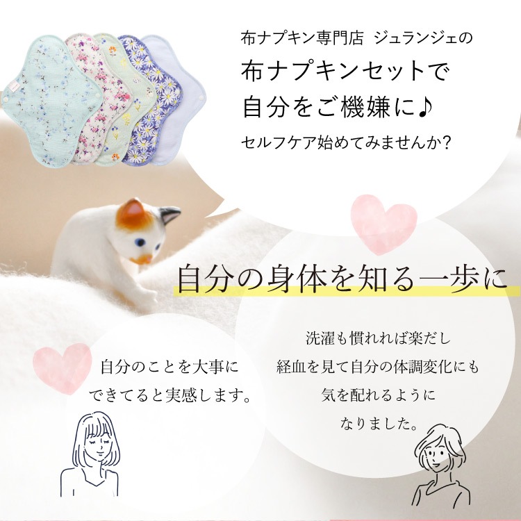 布ナプキン お試し一体型 Mサイズ 生成り 3枚セット [ 防水布入り布ナプキン/昼用 / 24.5cm ] 普通の日 ネル生地 (日本製)メール便送料無料