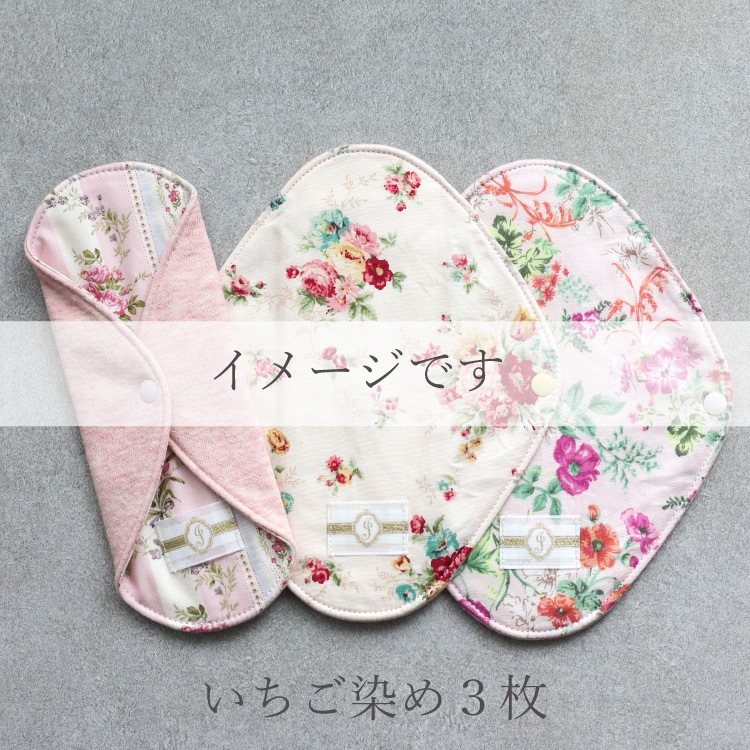 布ナプキン おりものライナーWプラス [おりもの用 3枚アソートセット / 防水布入り / 19cm ] 肌面オーガニックコットン100％ / 消臭タグ付き (日本製)