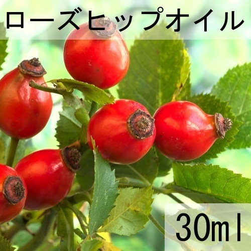 ローズヒップオイル30ml（28g）