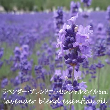 【ラベンダー】ブレンドエッセンシャルオイル 5ml【ネコポOK】