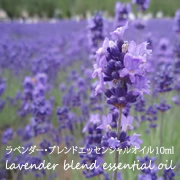 【ラベンダー】ブレンドエッセンシャルオイル10ml【ネコポOK】