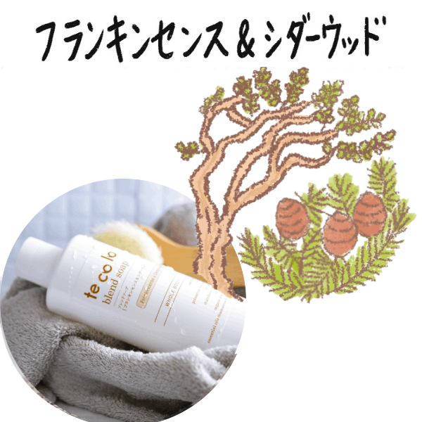 tecoloブレンドソープ フランキンセンス&シダーウッド300ml