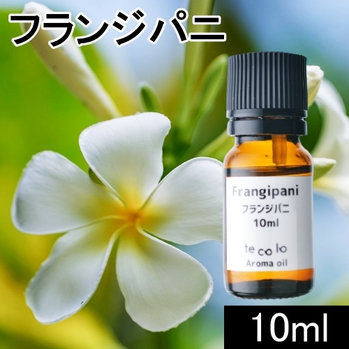 フランジパニ10ml【ネコポOK】