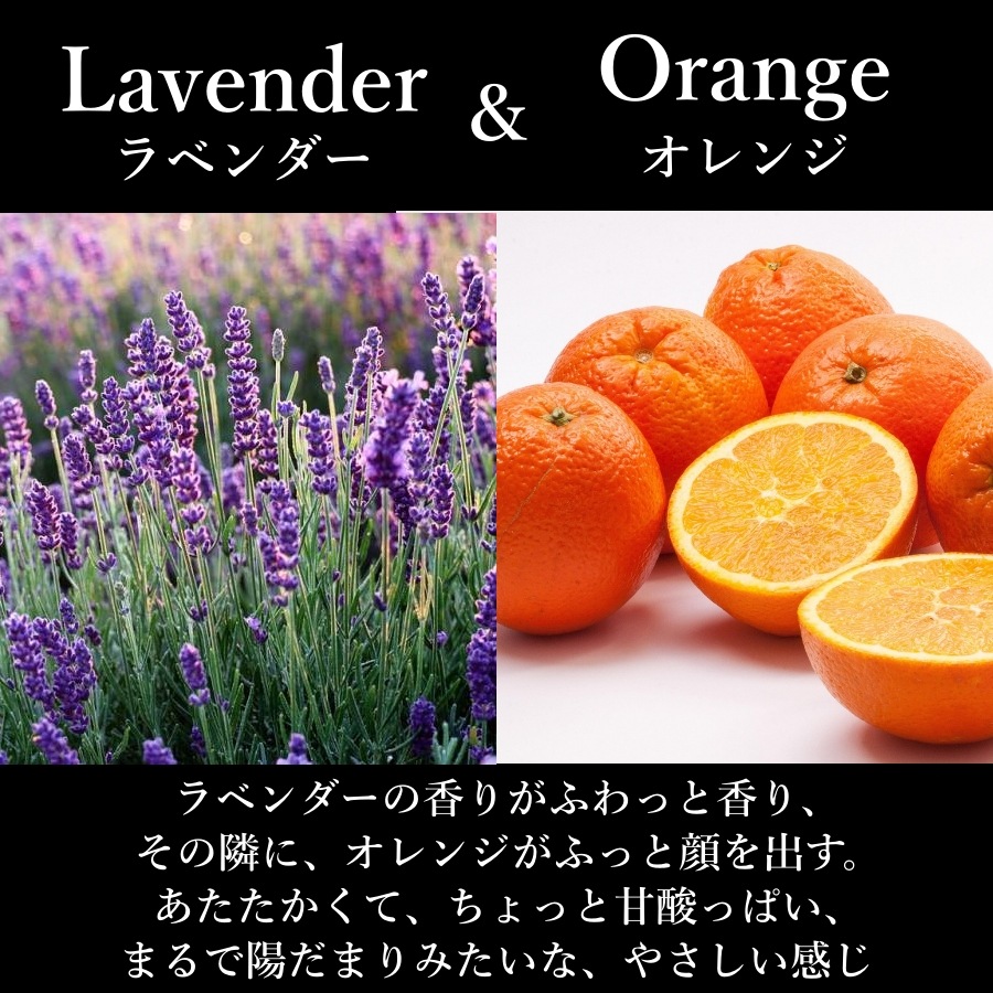 ̵ź ܥǥסáڵءtecolo֥ɥ ٥270mlҴȩȩOKڤ椦ѥåOK3Ĥޤǡ