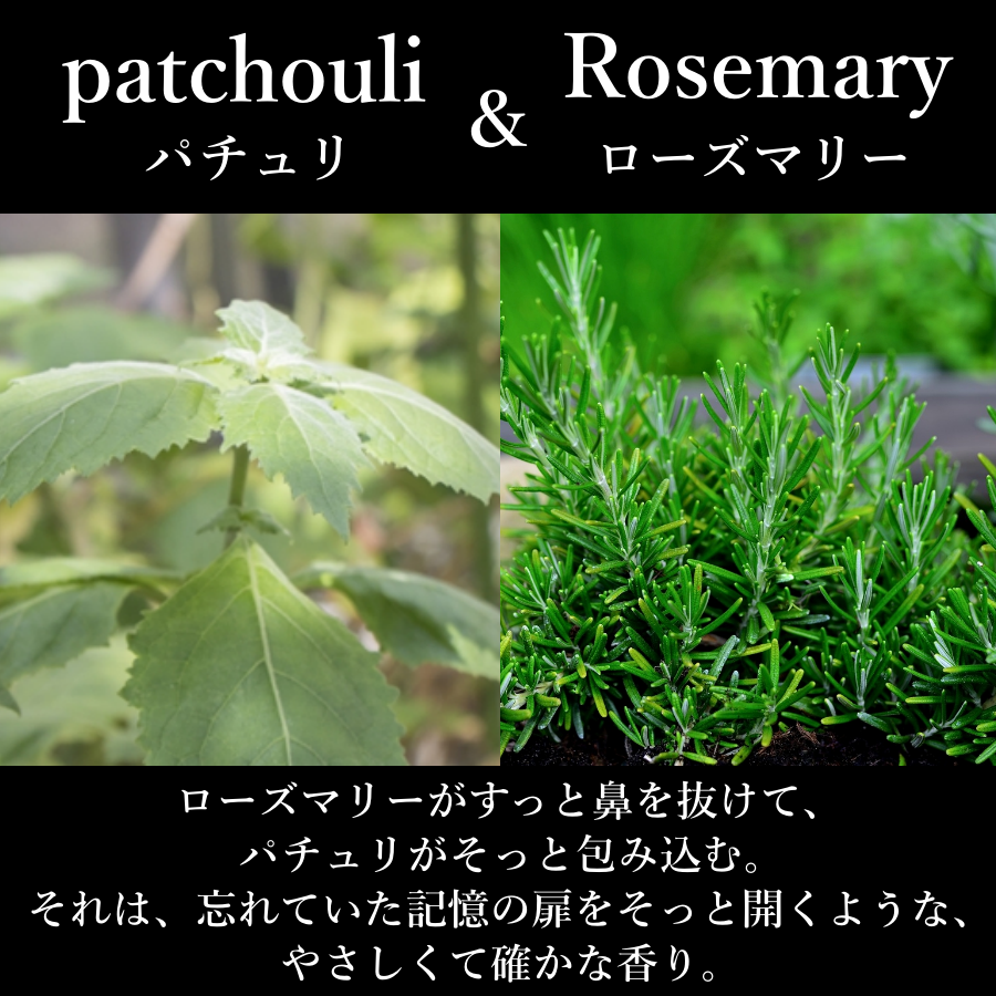 tecoloブレンドソープ・パチュリ&ローズマリー【ボトルと詰替セット】