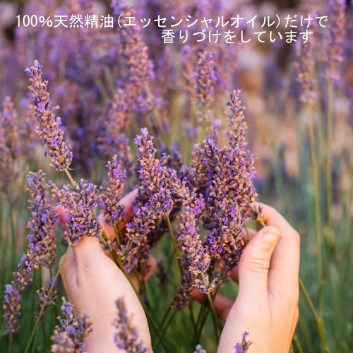 tecoloブレンドソープ・ローズゼラニウム＆イランイラン【ボトルと詰替セット】