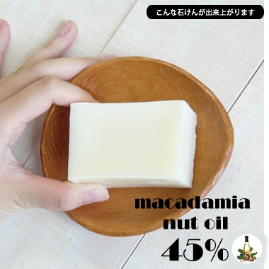 ϥ磻Υޥߥʥå45󥪥ߥå500gۡʺա