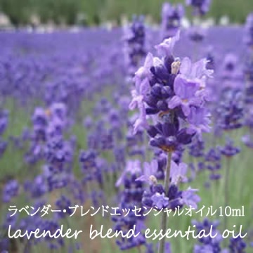 【ラベンダー】ブレンドエッセンシャルオイル10ml【ネコポOK】