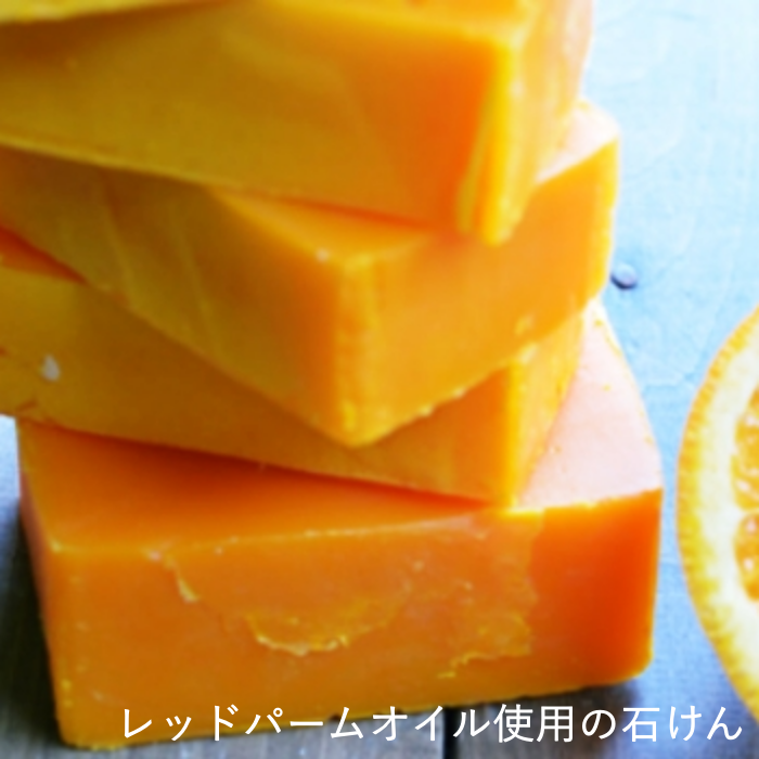 tecoloレッドパーム油450g