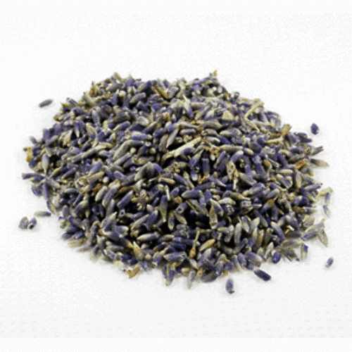 ラベンダーホール 20g【ネコポOK】