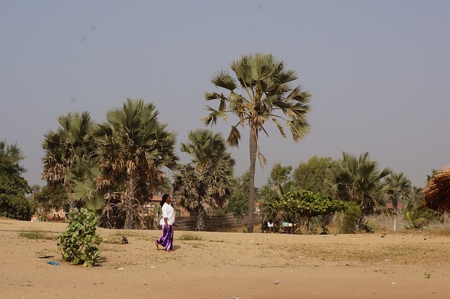 【プラボトル】パームオイル精製1000ml（手作り石鹸用）
