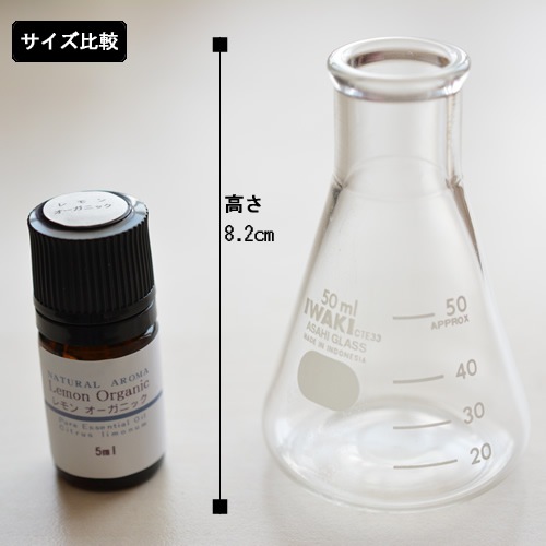 三角フラスコ 50ml