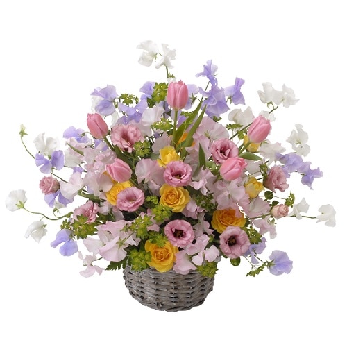 EH-013�����꡼