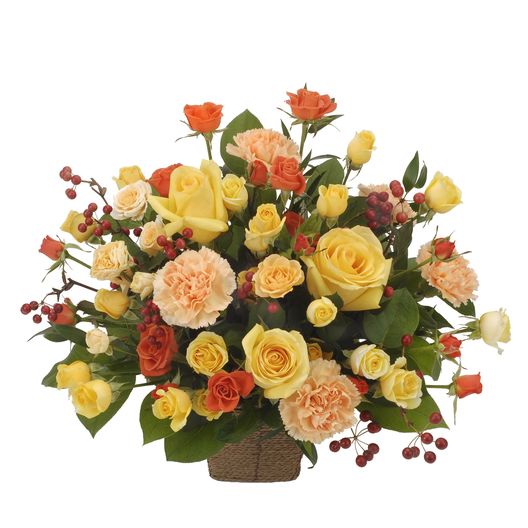 MF-006������ե�ѡ��ƥ�