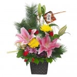 NY-006 ���������ҡ�