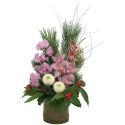 NY-009 ʡ���դ���